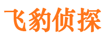 临潭市婚外情调查